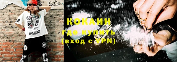 прущая мука Каменка