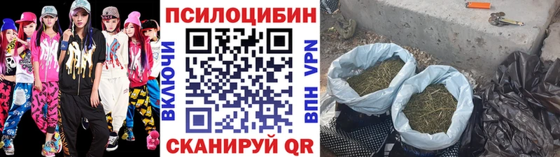 kraken сайт Называевск Псилоцибиновые грибы Magic Shrooms